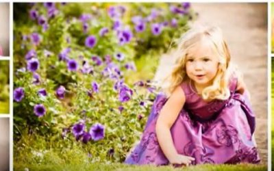 Brooksby Hall Wedding