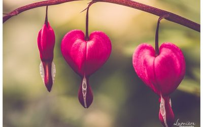 It’s all about the heart: from photography to yoga.