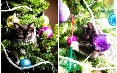 10 tips to take better photos of your family this Christmas